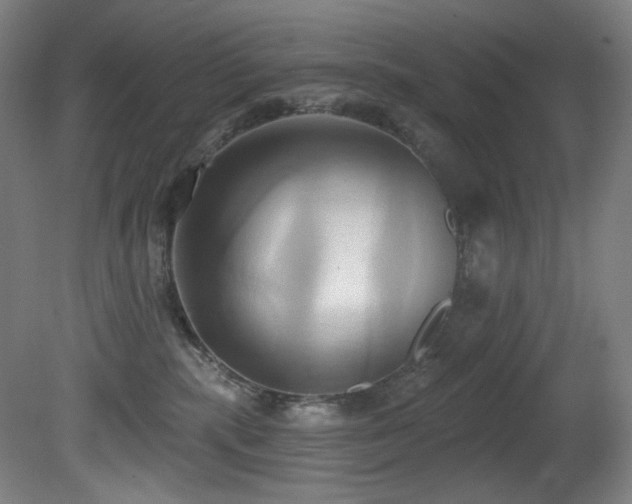 X0000081300283200701111433