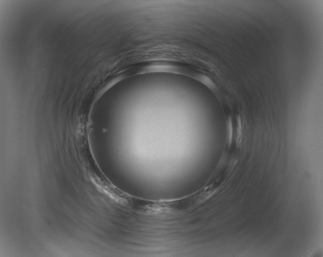 X0000081300284200701111433