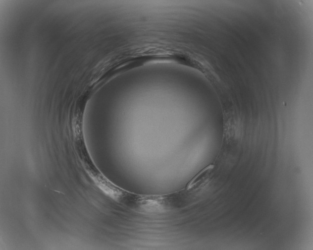 X0000081300285200701111433