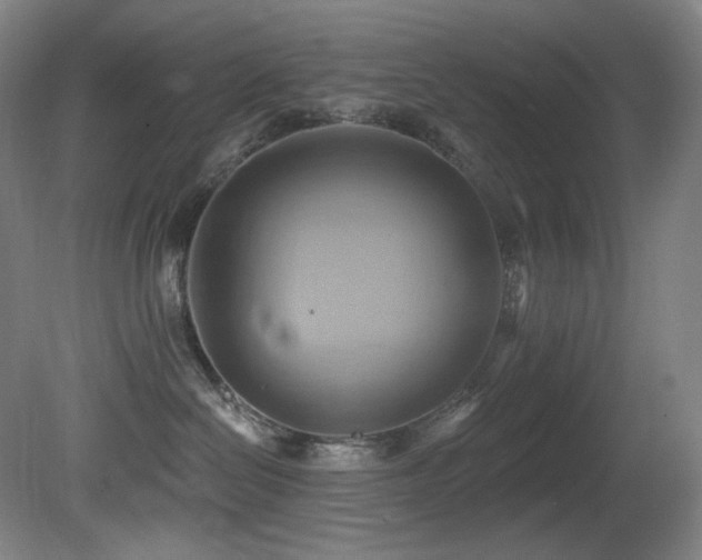 X0000081300286200701111433