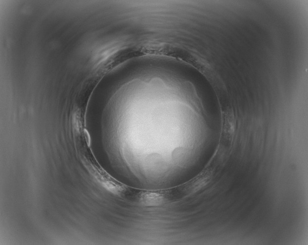X0000081300287200701111433