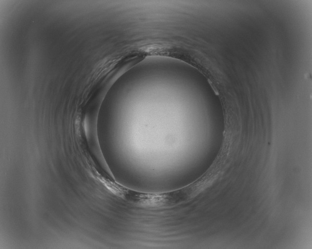 X0000081300288200701111433