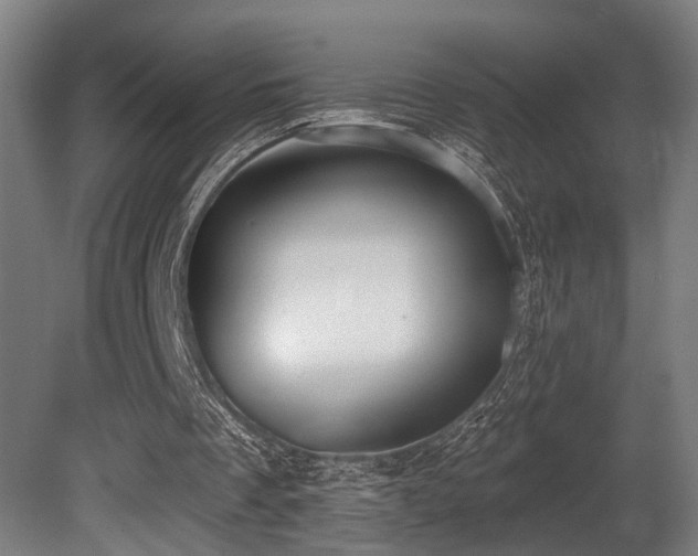 X0000081300289200701111432