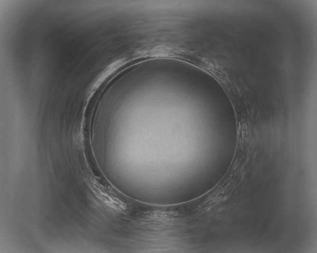 X0000081300292200701111432