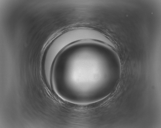X0000081300293200701111432