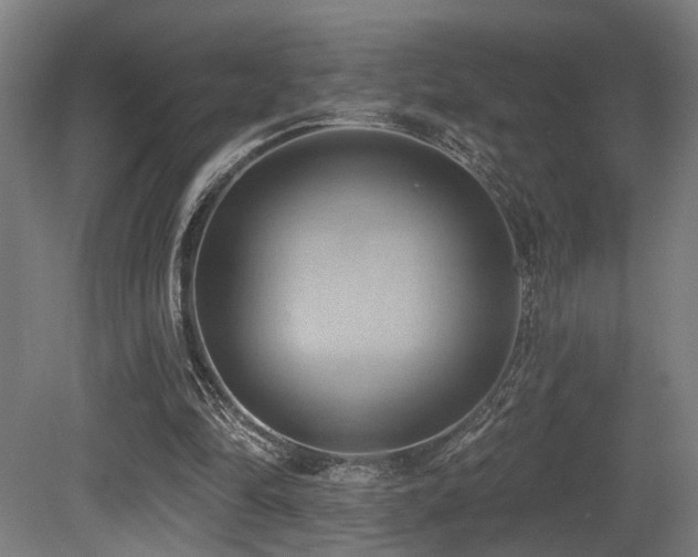 X0000081300294200701111432