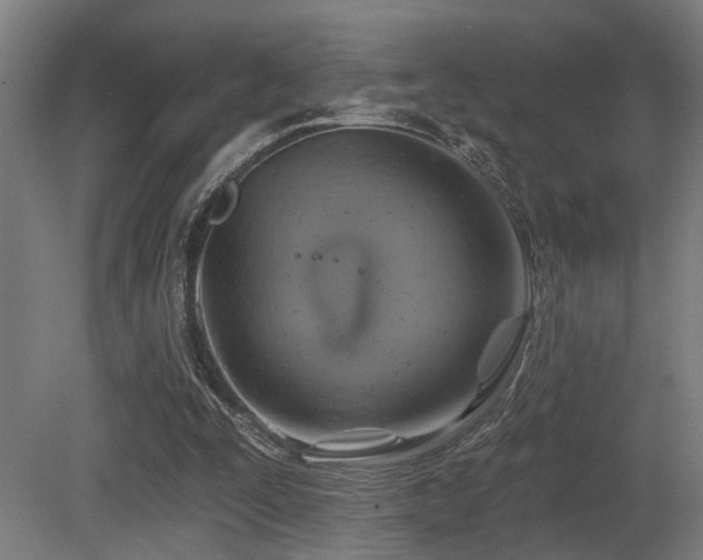 X0000081300295200701111432