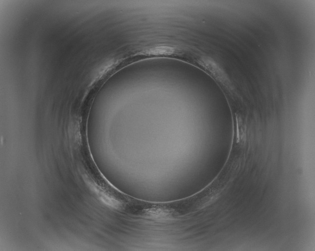 X0000081300300200701111432