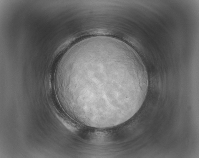X0000081300302200701111432