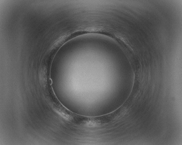 X0000081300303200701111432