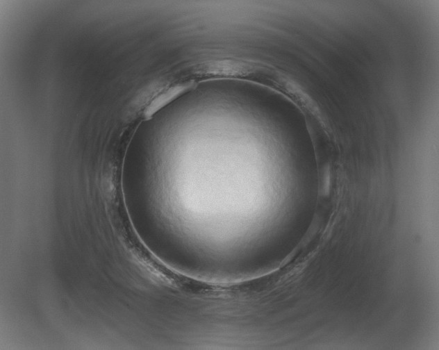 X0000081300305200701111431