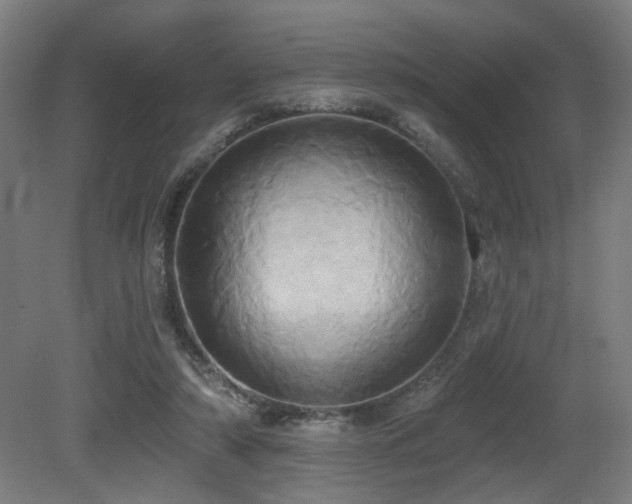 X0000081300306200701111431