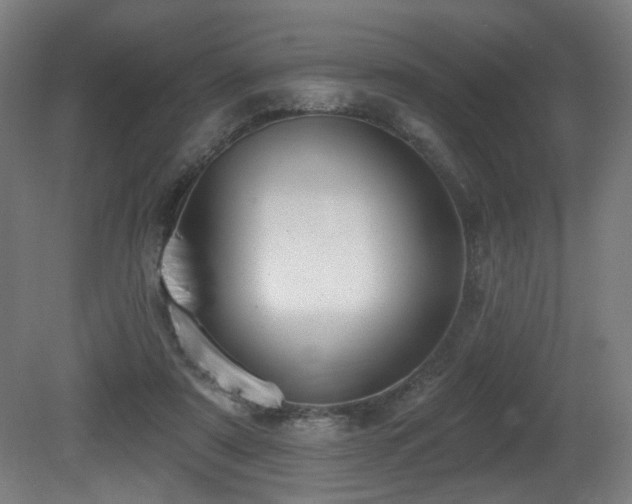X0000081300307200701111431