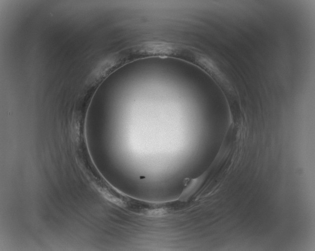 X0000081300309200701111431