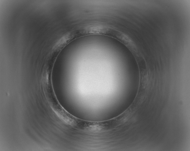 X0000081300310200701111431