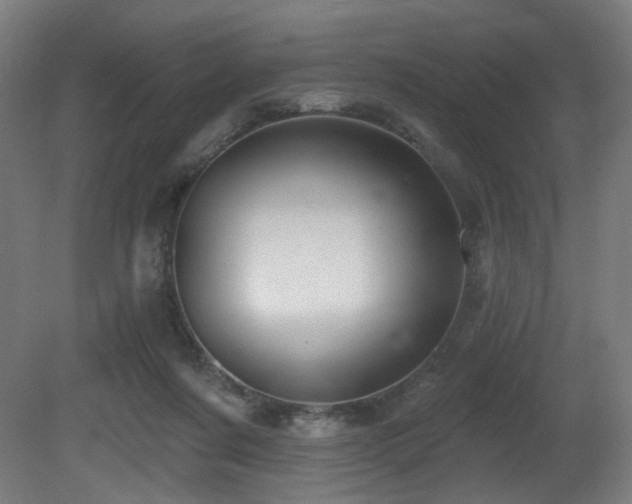 X0000081300311200701111431