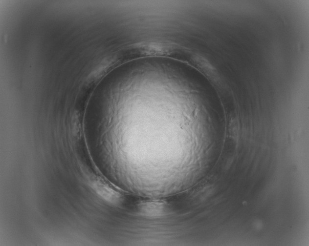 X0000081300318200701111431