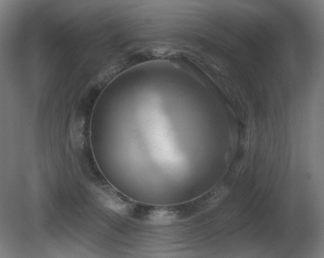 X0000081300319200701111431
