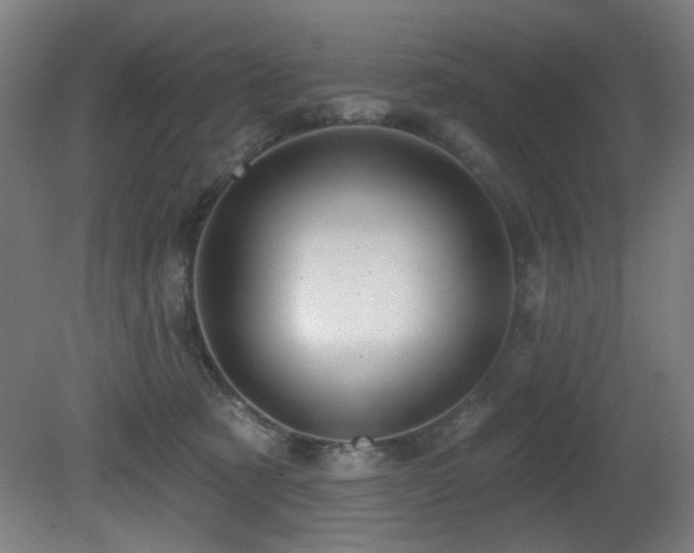 X0000081300321200701111431
