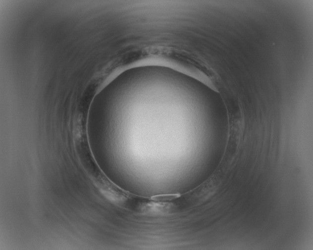 X0000081300323200701111431