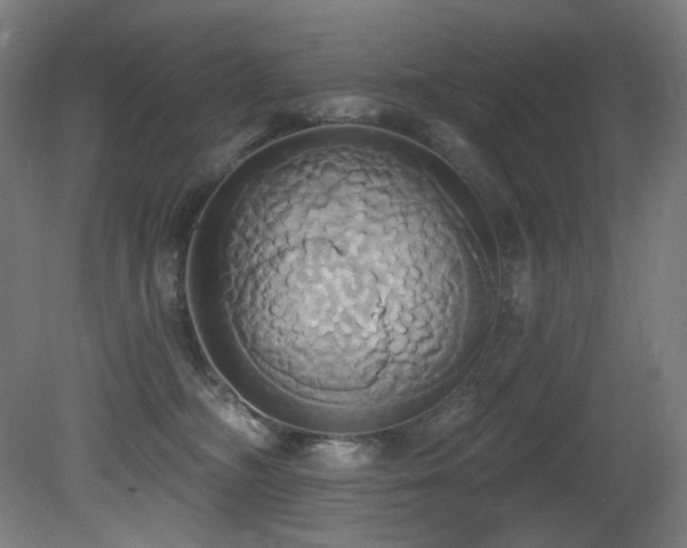 X0000081300326200701111431