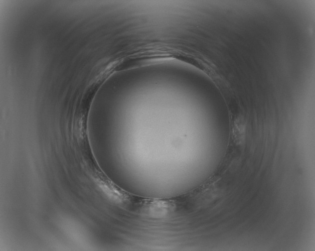 X0000081300330200701111431