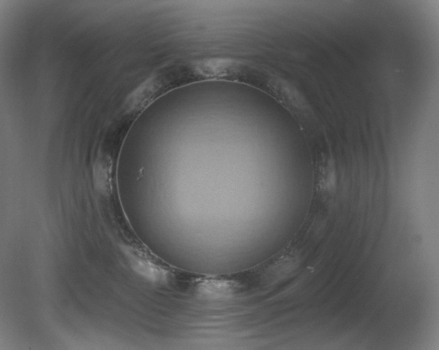 X0000081300332200701111431