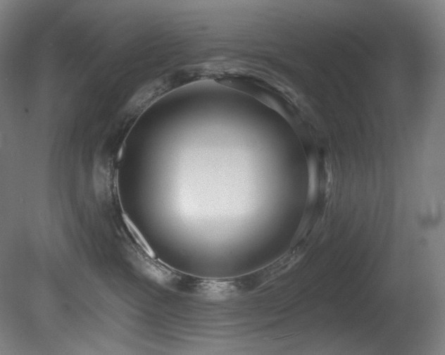 X0000081300333200701111431