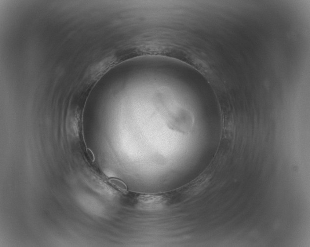 X0000081300334200701111431