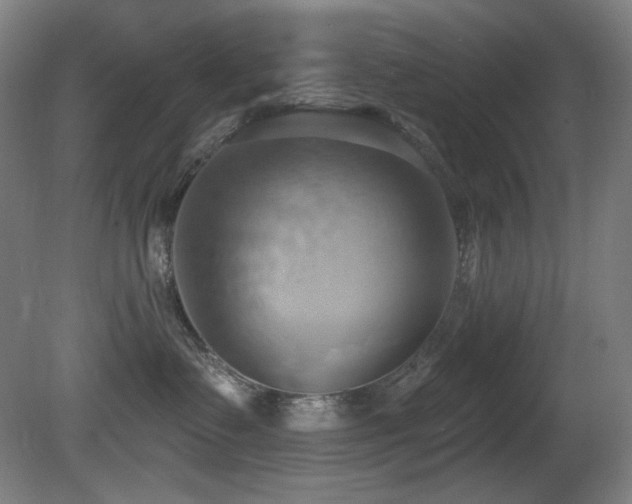 X0000081300335200701111431