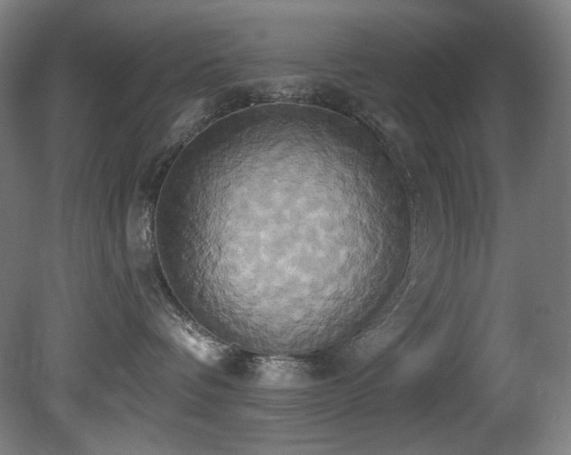 X0000081300336200701111431