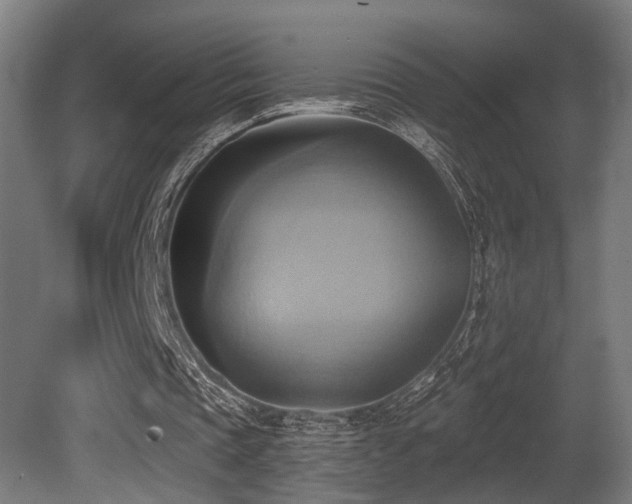 X0000081300337200701111430
