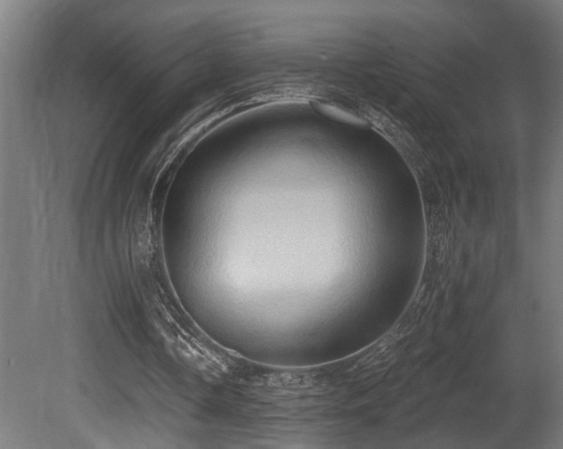 X0000081300338200701111430