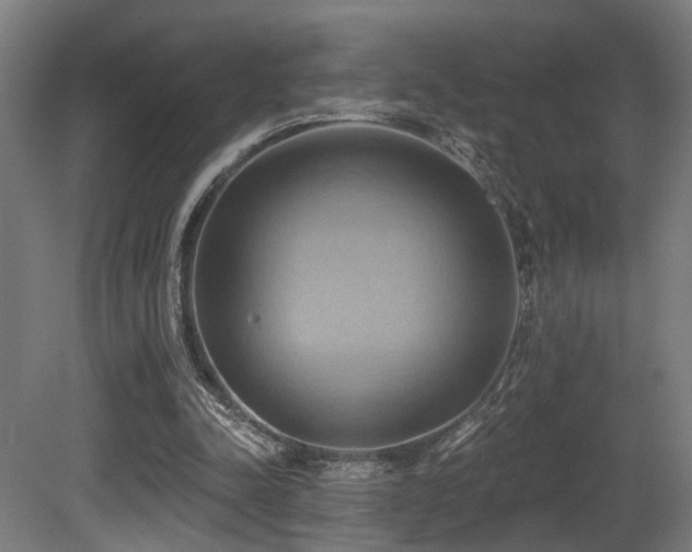 X0000081300342200701111430