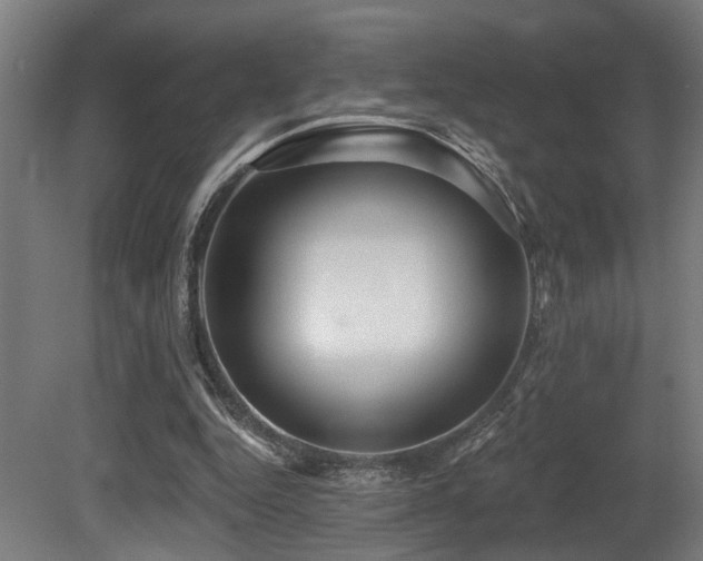 X0000081300344200701111430