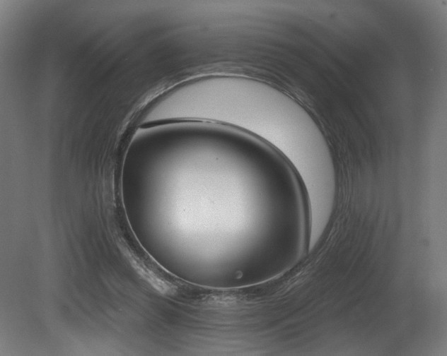 X0000081300349200701111430