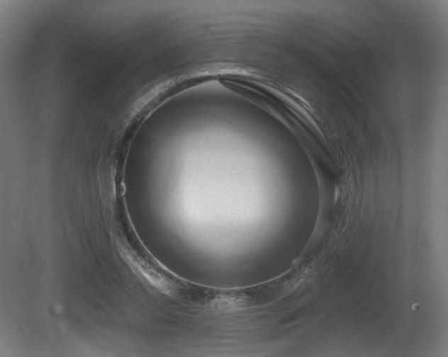 X0000081300350200701111430
