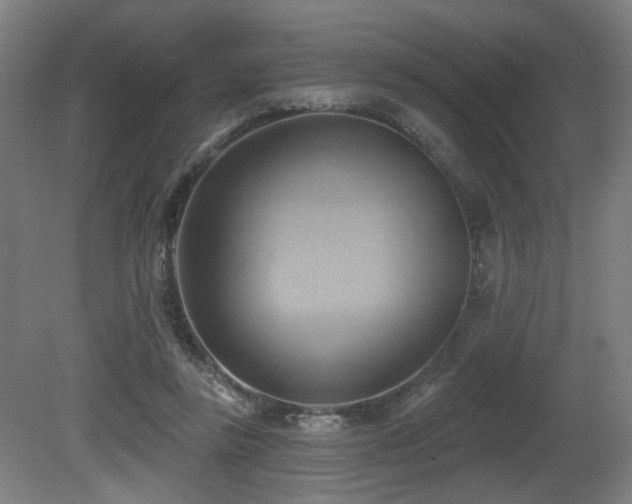 X0000081300355200701111430