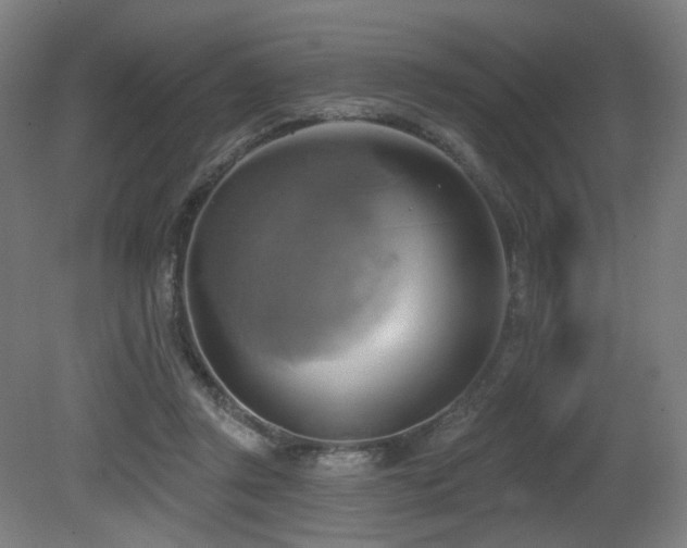 X0000081300357200701111430