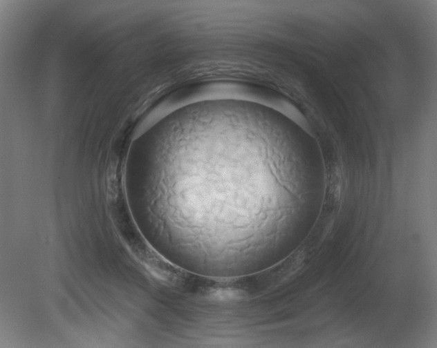 X0000081300360200701111431