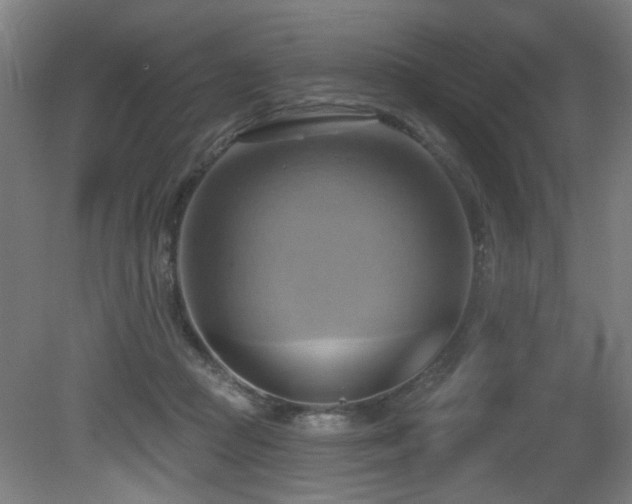 X0000081300361200701111431