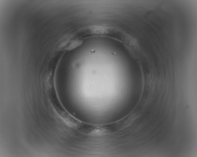 X0000081300364200701111431