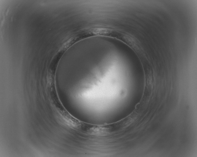 X0000081300367200701111431