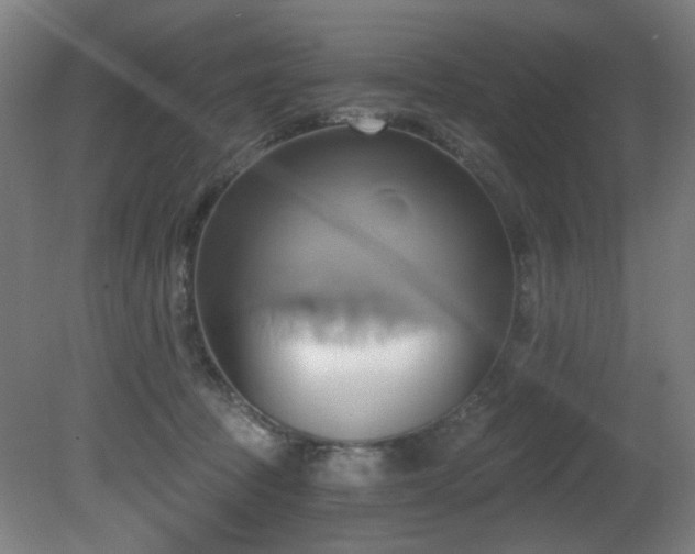 X0000081300369200701111431