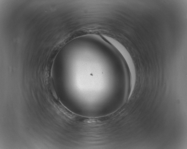 X0000081300372200701111431