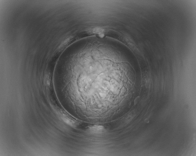 X0000081300374200701111431