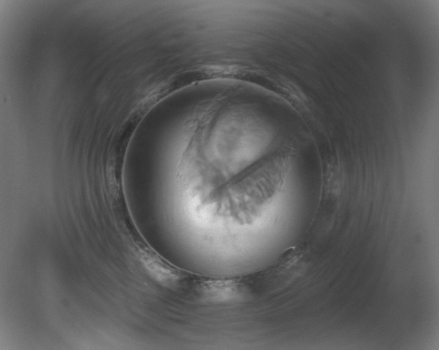X0000081300377200701111431