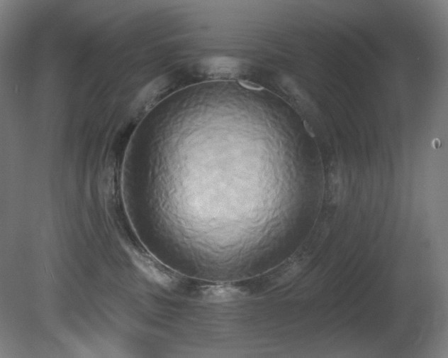 X0000081300379200701111431