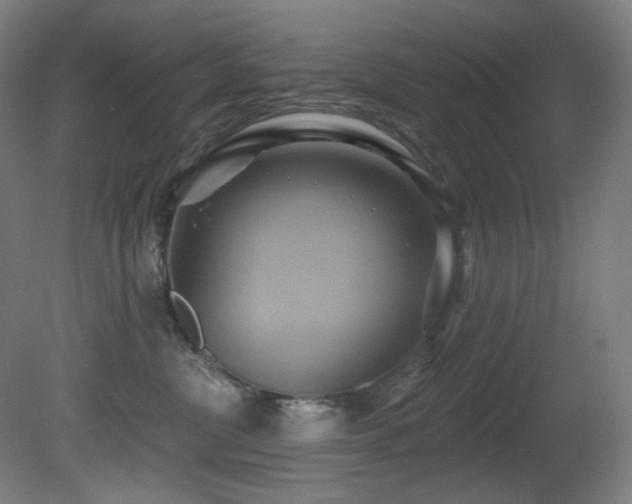 X0000081300380200701111431