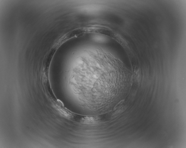 X0000081300381200701111431